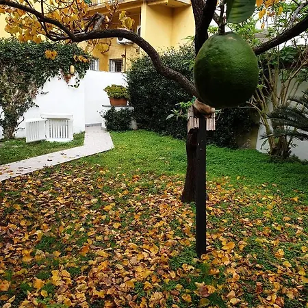 Daire Keti Viareggio