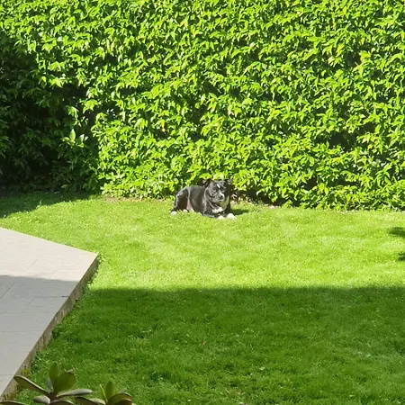 Keti Daire Viareggio